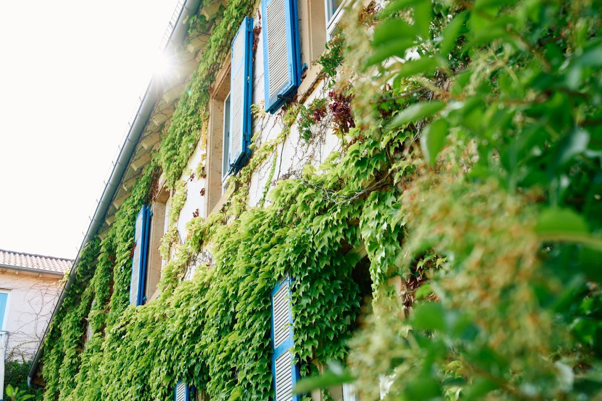 Hofgut Wissberg - Das Weinberghotel Sankt Johann  Екстер'єр фото