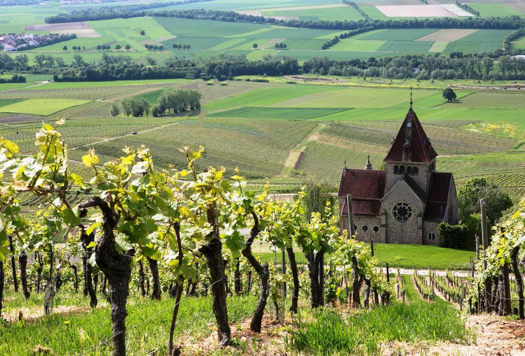 Hofgut Wissberg - Das Weinberghotel Sankt Johann  Екстер'єр фото